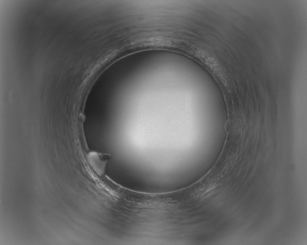 X0000076390625200610061151
