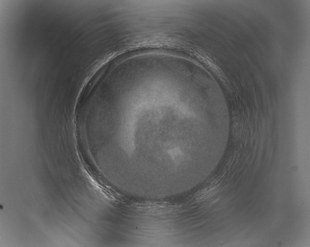 X0000076390626200610061151