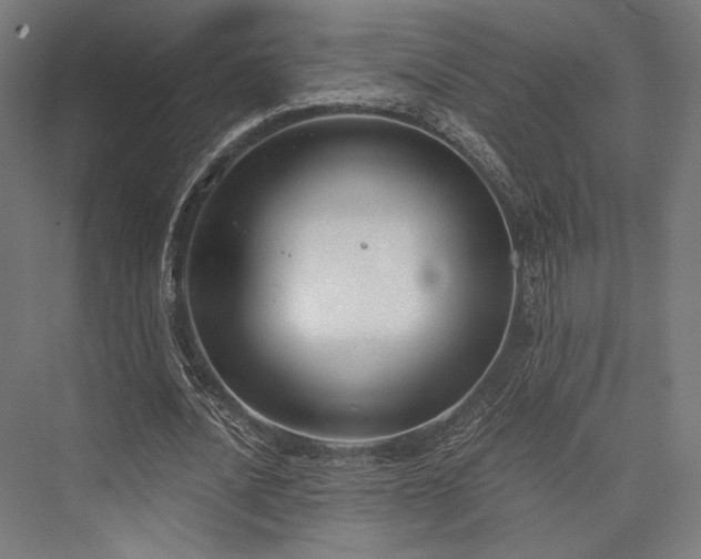 X0000076390628200610061151