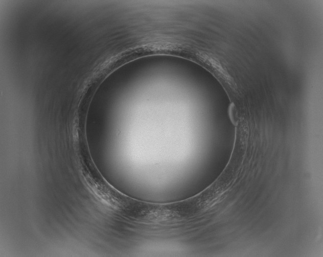 X0000076390631200610061151