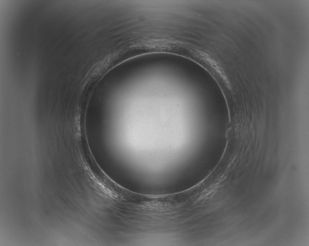 X0000076390633200610061151