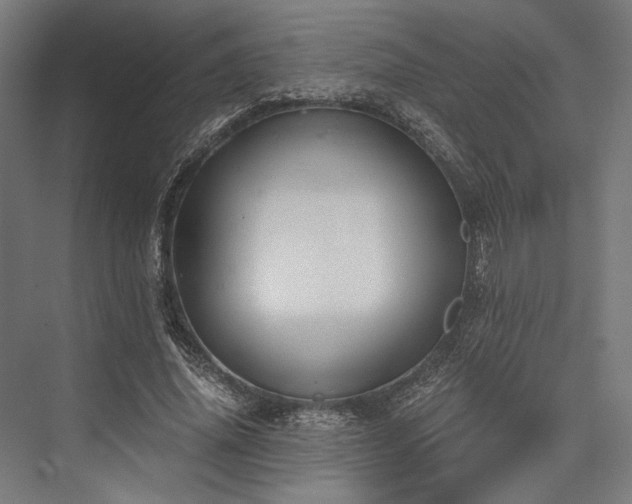 X0000076390636200610061151