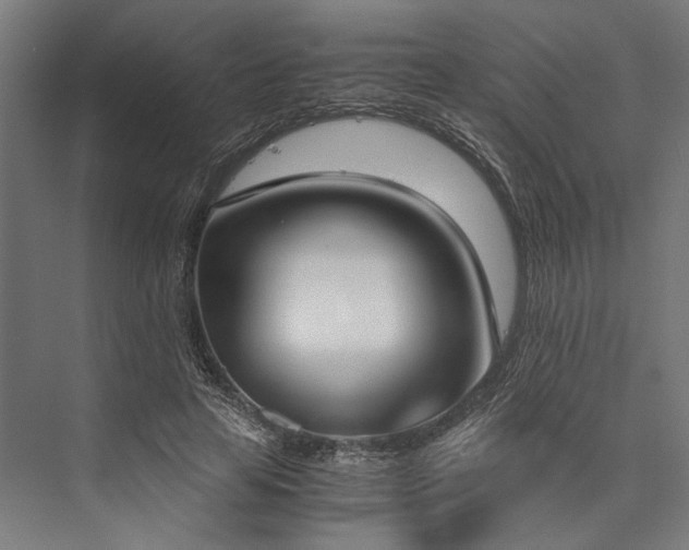 X0000076390641200610061151