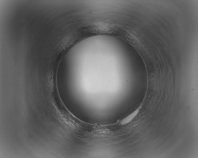 X0000076390642200610061151