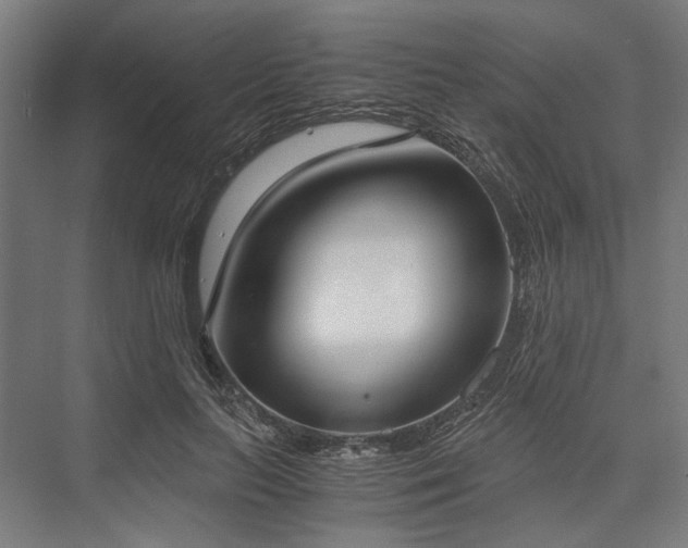 X0000076390647200610061152