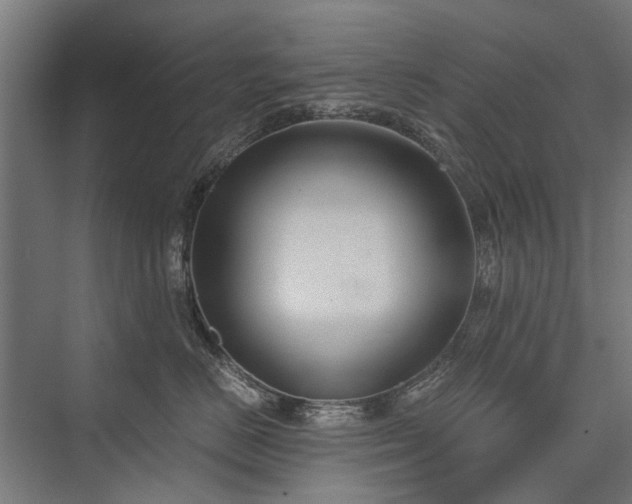 X0000076390670200610061152