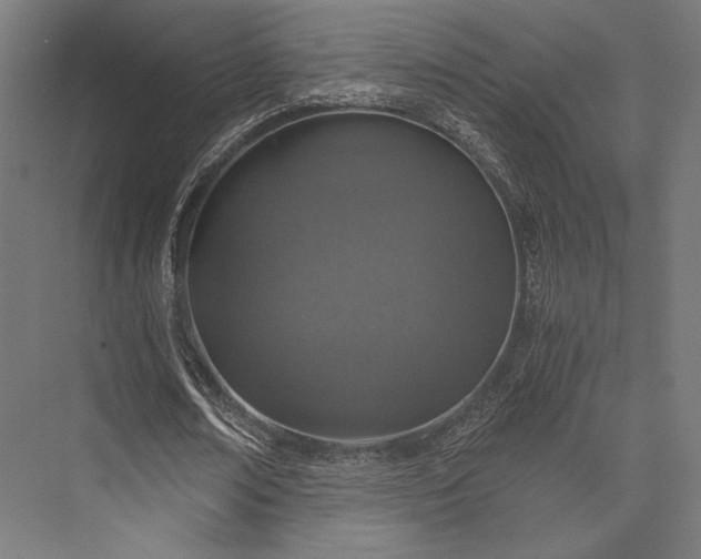 X0000076390674200610061151