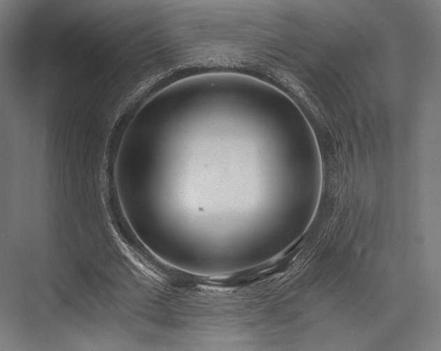 X0000076390677200610061151