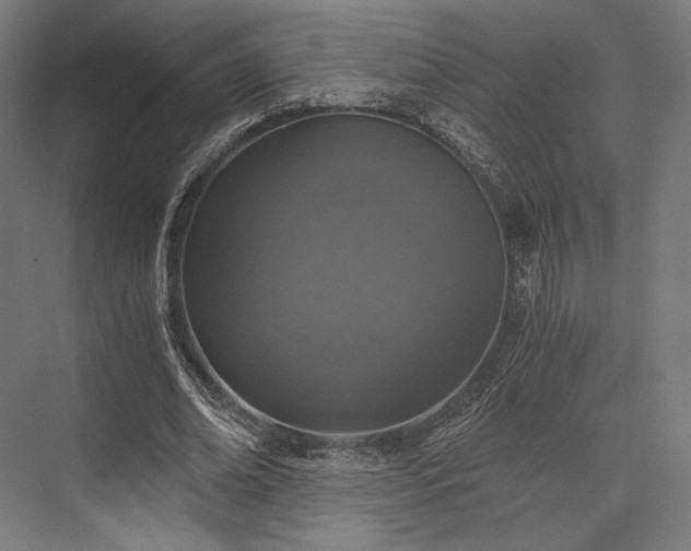 X0000076390678200610061151