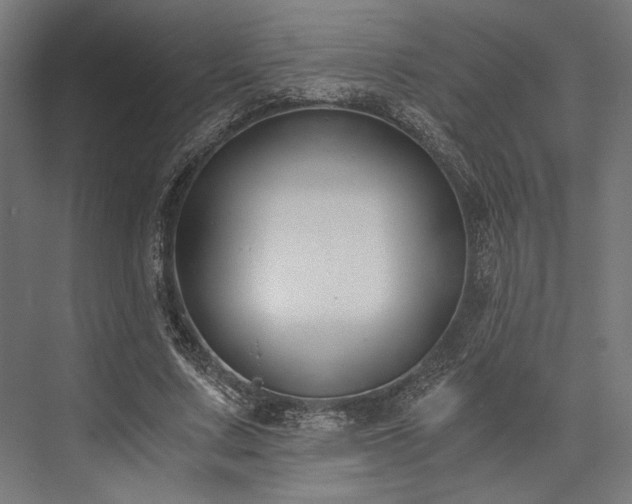 X0000076390683200610061151