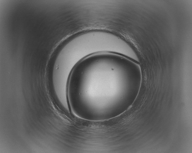 X0000076390684200610061151