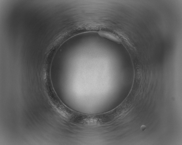 X0000076390687200610061151
