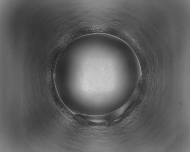 X0000076390689200610061151