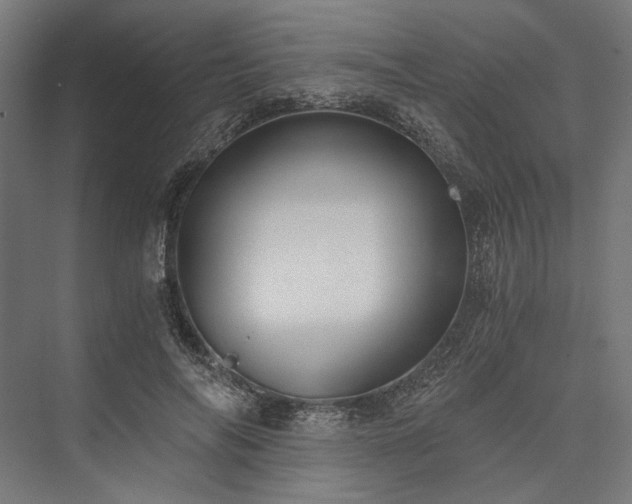 X0000076390694200610061151