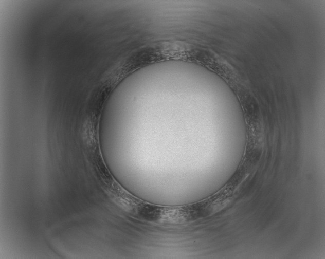 X0000076390705200610061151