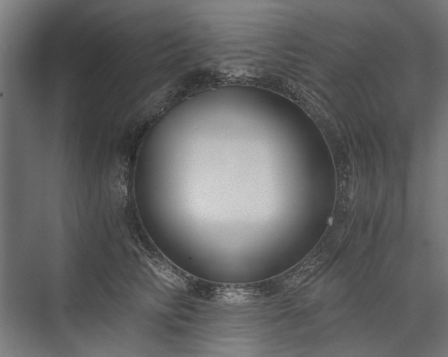 X0000076390710200610061151