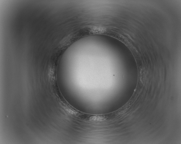 X0000076390714200610061150