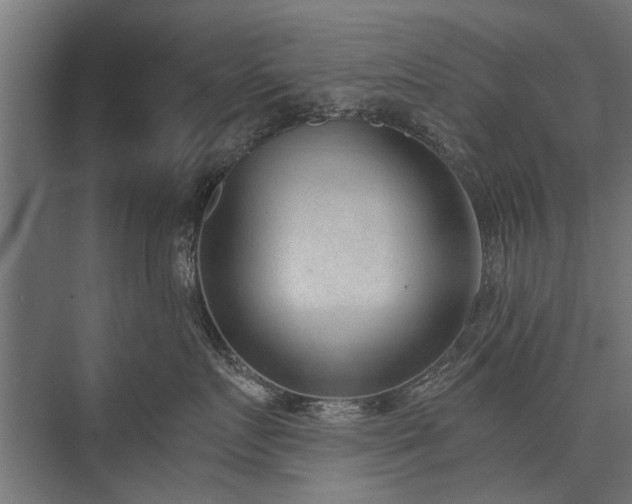 X0000076390719200610061150