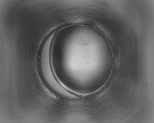 X0000076390725200610061150