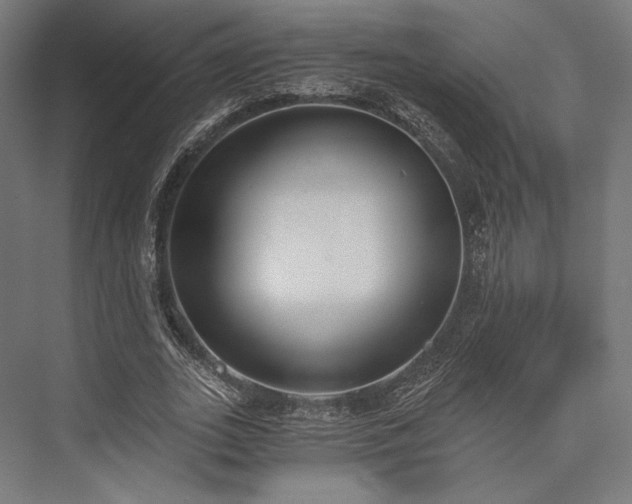 X0000076390727200610061150