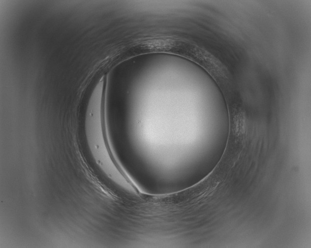 X0000076390733200610061150