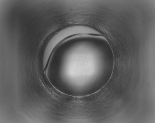 X0000076390735200610061150