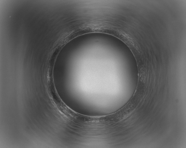 X0000076390740200610061150