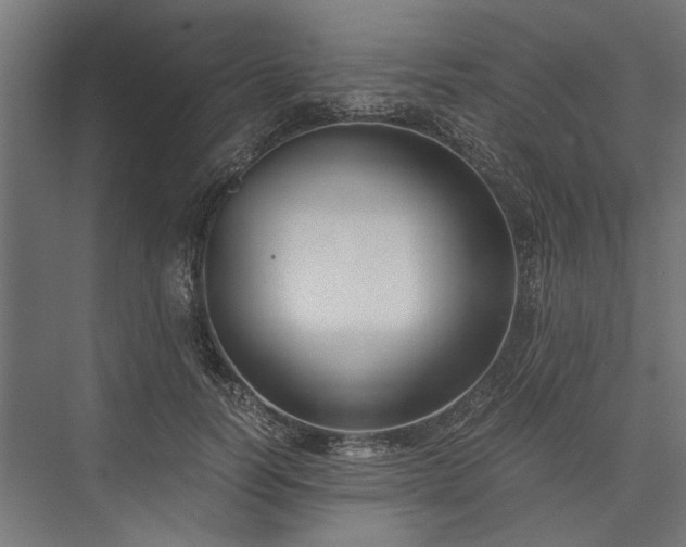 X0000076390746200610061150