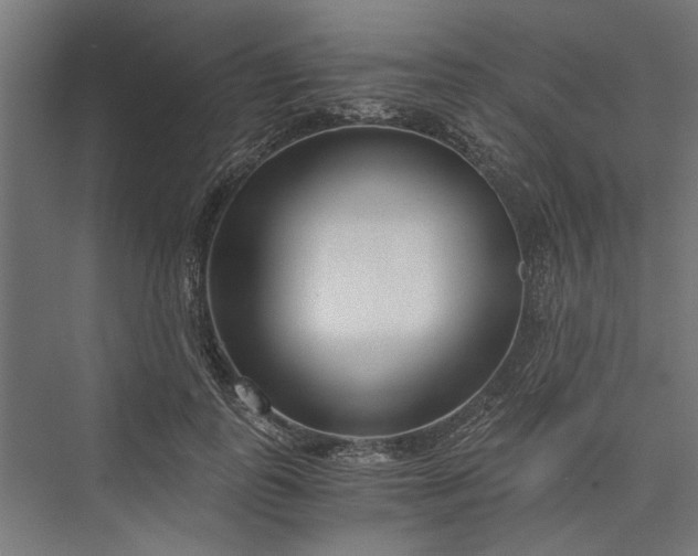 X0000076390747200610061150