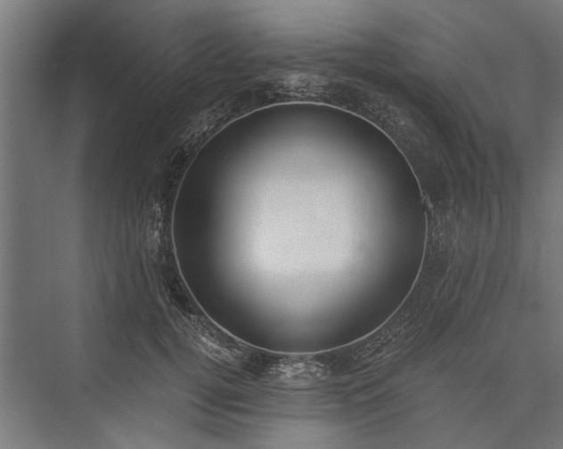 X0000076390752200610061150