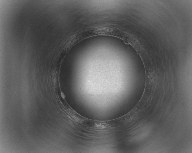 X0000076390753200610061150