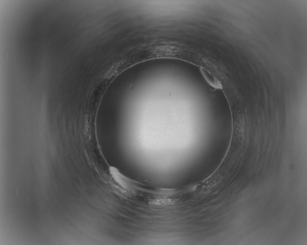 X0000076390759200610061150