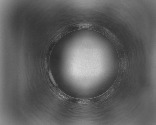 X0000076390761200610061150