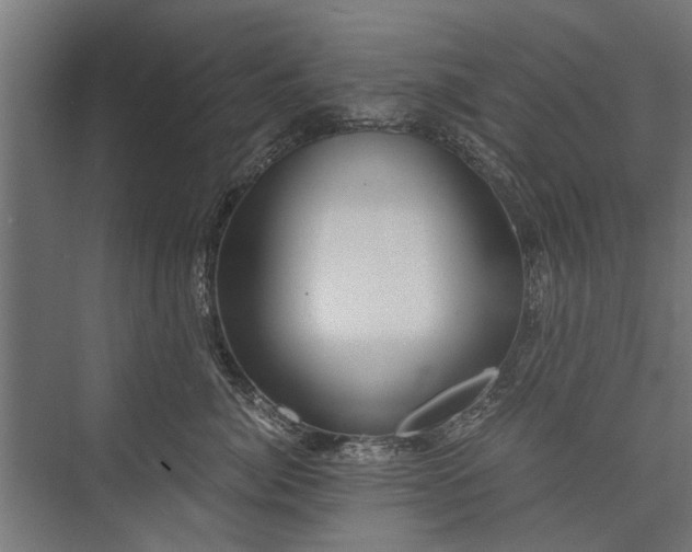 X0000076390764200610061150