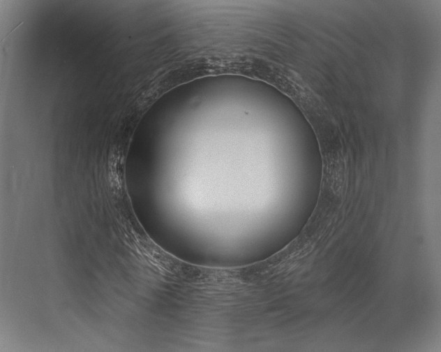 X0000076390770200610061150