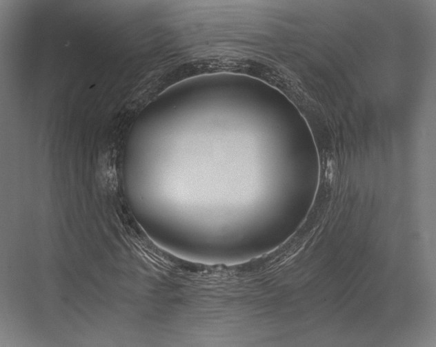 X0000076390771200610061150