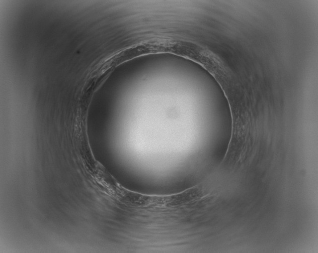 X0000076390773200610061149