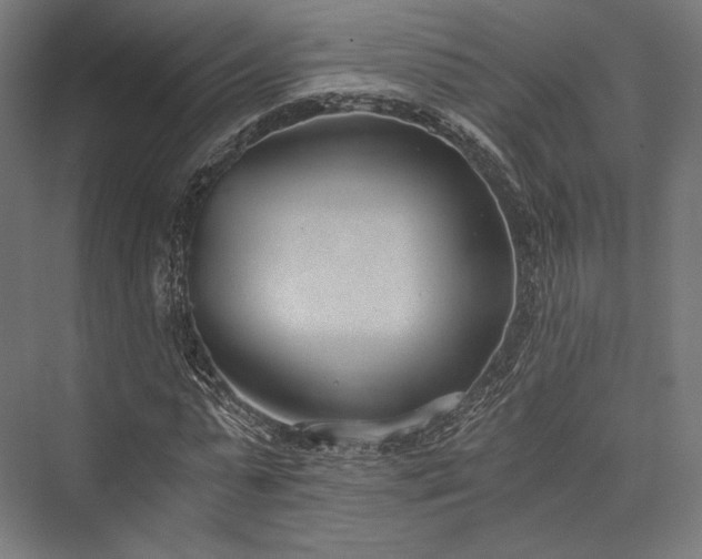X0000076390775200610061149