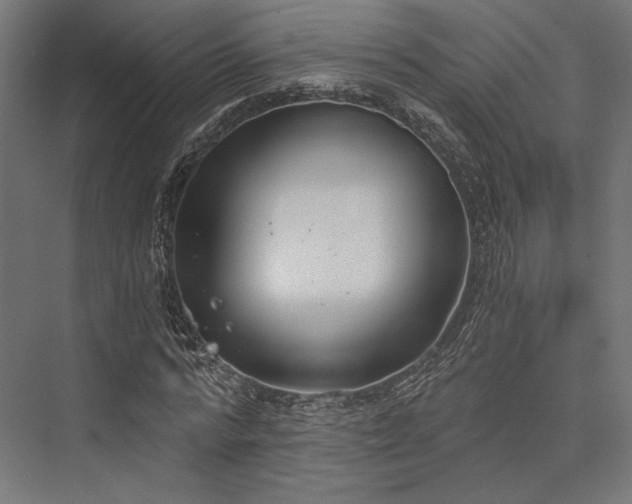 X0000076390776200610061149
