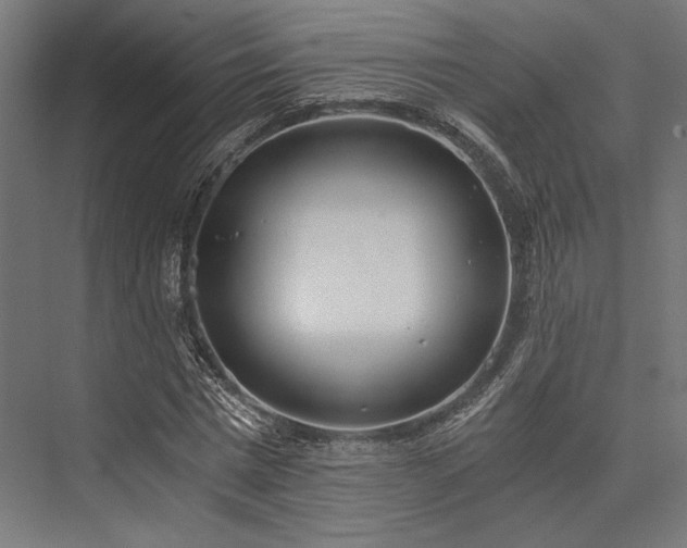X0000076390777200610061149