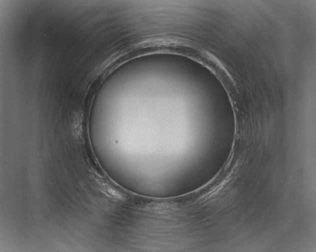 X0000076390778200610061149