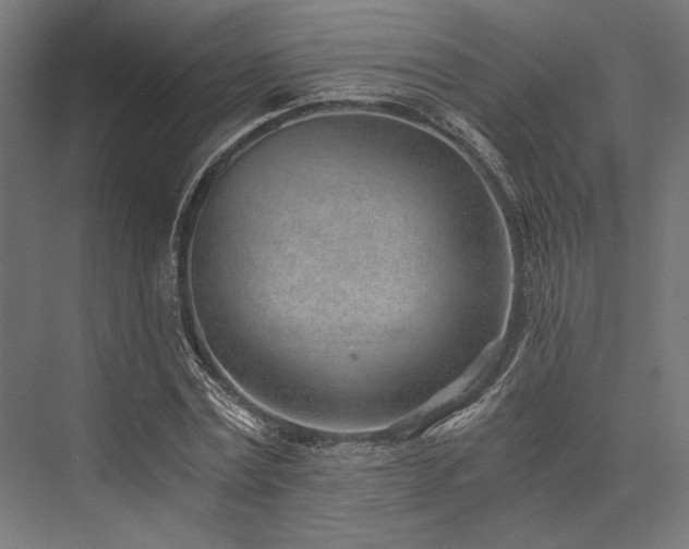 X0000076390779200610061149