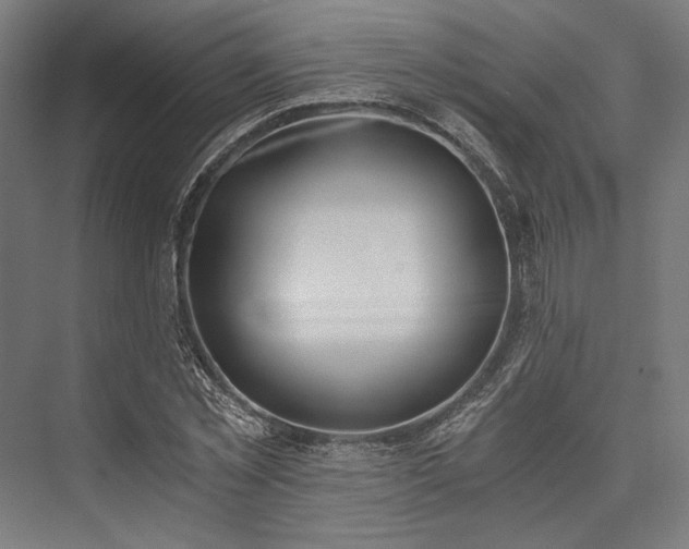X0000076390781200610061149