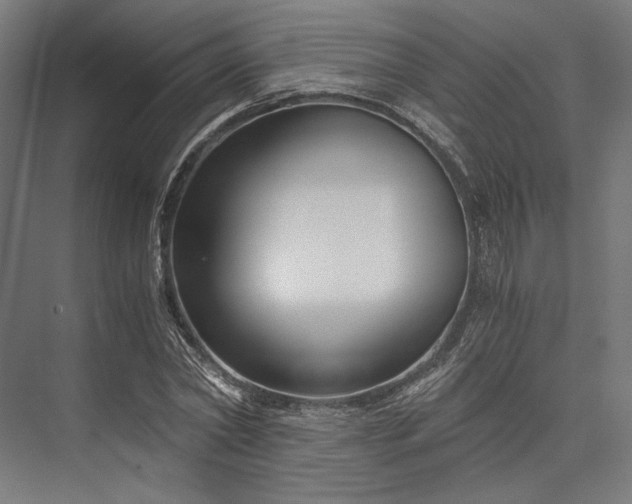 X0000076390782200610061149