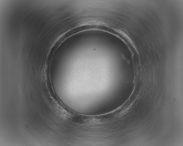 X0000076390783200610061149