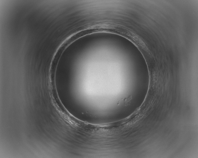 X0000076390784200610061149