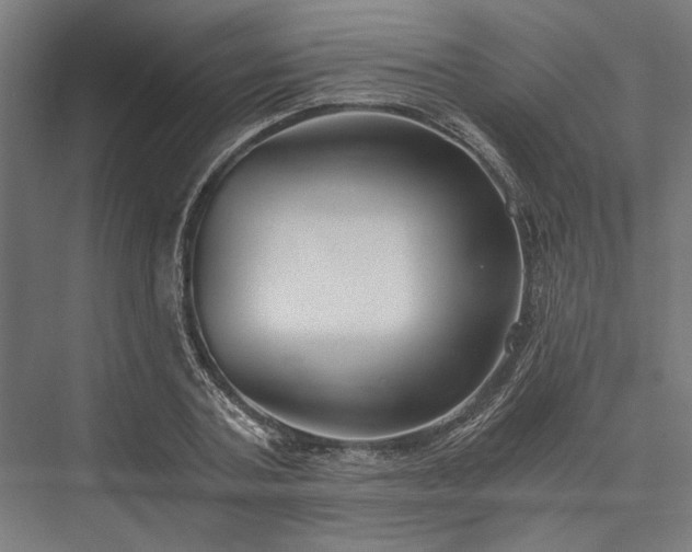 X0000076390787200610061149