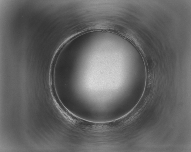 X0000076390795200610061149