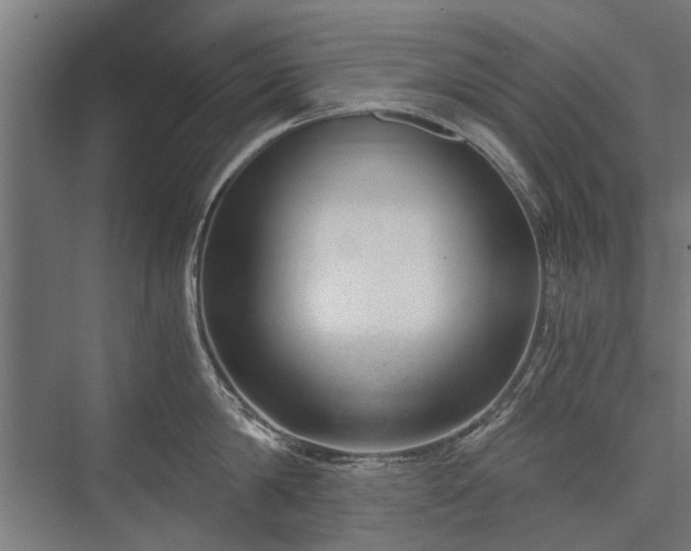X0000076390814200610061149