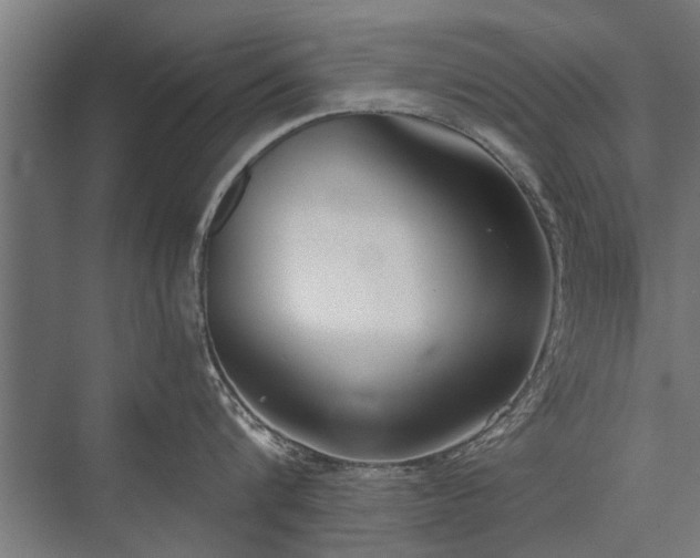 X0000076390816200610061149